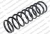 LESJ?FORS 4259248 Coil Spring